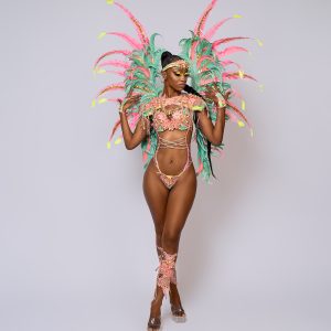 Baje International - Spirit
