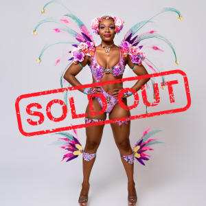 Baje-International-Backline-6 - SOLD OUT